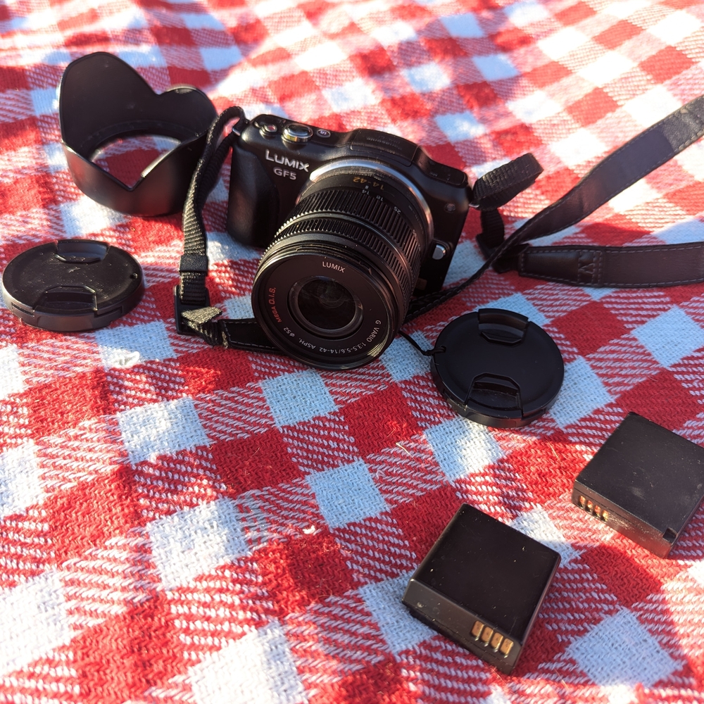 Panasonic Lumix GFS Black Camera